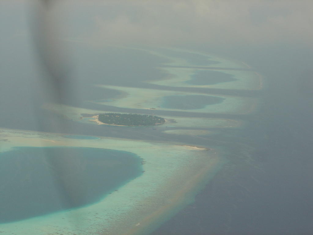 DSC00248.JPG