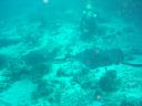 DSC00045.JPG