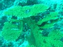 DSC00046.JPG
