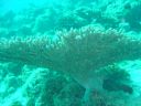 DSC00049.JPG