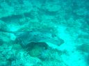 DSC00051.JPG