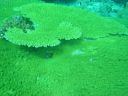 DSC00054.JPG