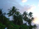 DSC00058.JPG