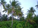 DSC00062.JPG