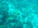 DSC00071.JPG