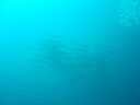 DSC00072.JPG