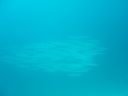 DSC00073.JPG