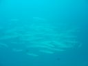 DSC00074.JPG