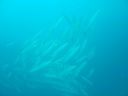 DSC00075.JPG