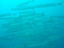 DSC00076.JPG
