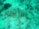 DSC00130.JPG