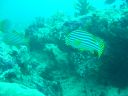 DSC00134.JPG
