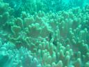 DSC00139.JPG