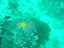 DSC00142.JPG