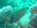 DSC00143.JPG