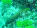 DSC00145.JPG