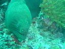 DSC00146.JPG