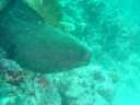 DSC00147.JPG