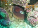 DSC00148.JPG