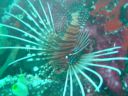 DSC00149.JPG