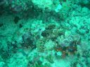 DSC00152.JPG