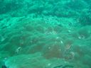 DSC00155.JPG