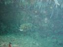 DSC00165.JPG