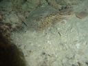 DSC00166.JPG