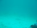 DSC00172.JPG
