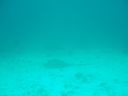 DSC00173.JPG