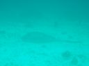 DSC00174.JPG