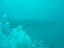 DSC00179.JPG