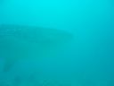 DSC00180.JPG