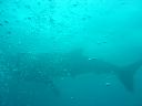 DSC00185.JPG