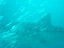 DSC00192.JPG
