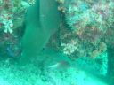 DSC00198.JPG