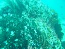 DSC00199.JPG