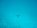 DSC00205.JPG