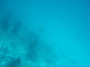 DSC00206.JPG