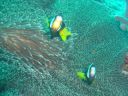 DSC00209.JPG