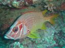 DSC00210.JPG