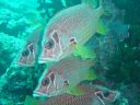 DSC00211.JPG