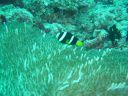 DSC00213.JPG