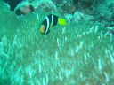DSC00214.JPG