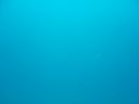 DSC00215.JPG