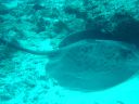 DSC00216.JPG