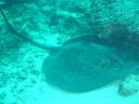 DSC00217.JPG