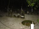 DSC00236.JPG