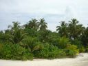 DSC00237.JPG