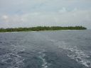 DSC00241.JPG